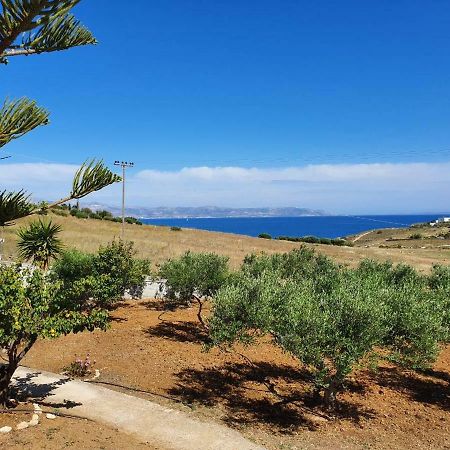Anthoula'S Sea View Apartment Piso Livadi Dış mekan fotoğraf
