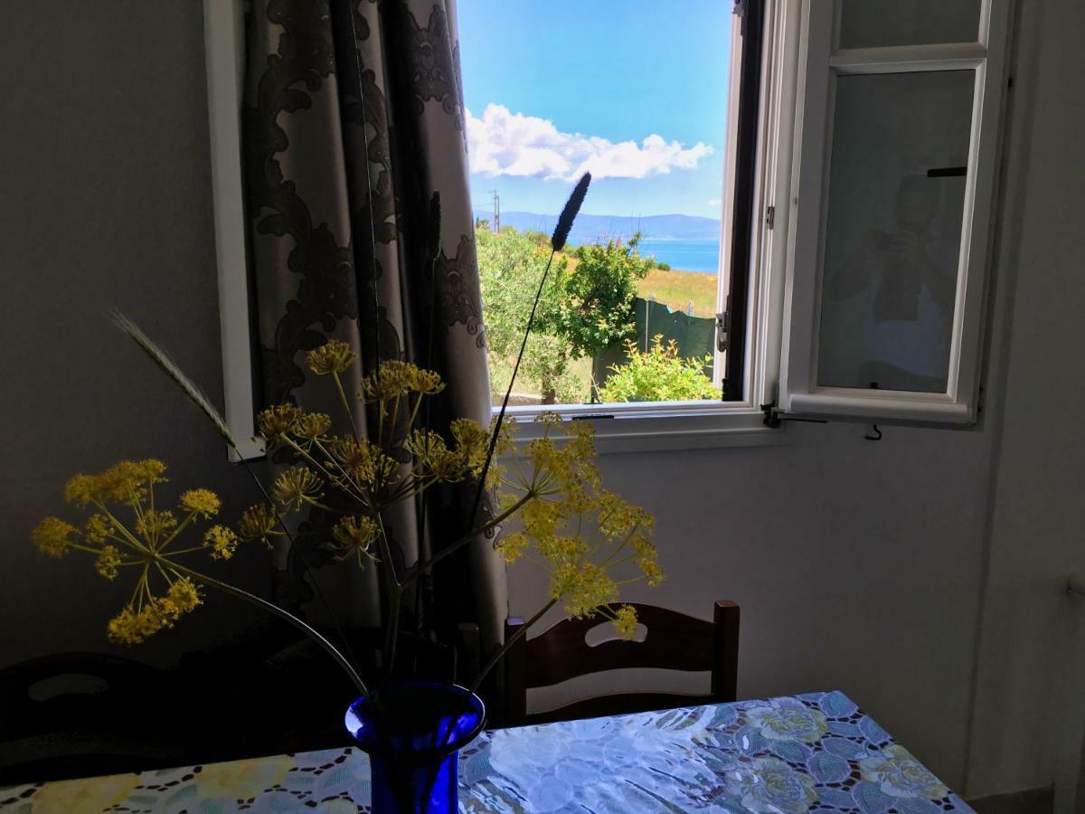 Anthoula'S Sea View Apartment Piso Livadi Dış mekan fotoğraf