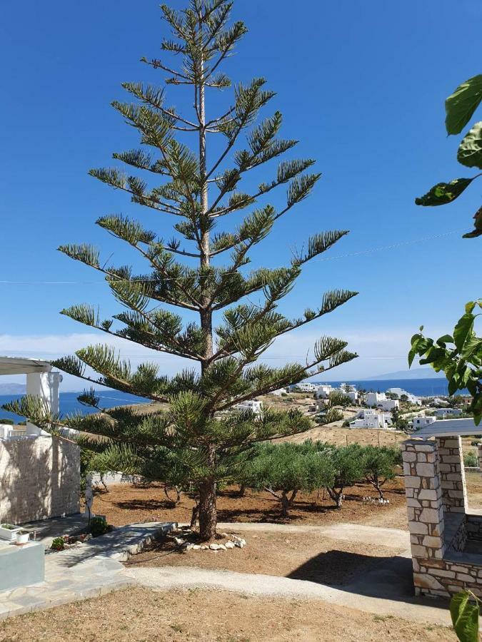 Anthoula'S Sea View Apartment Piso Livadi Dış mekan fotoğraf