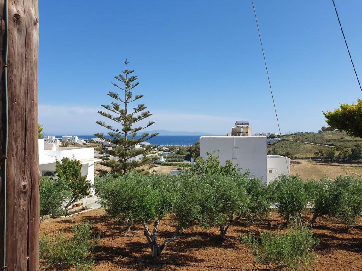 Anthoula'S Sea View Apartment Piso Livadi Dış mekan fotoğraf