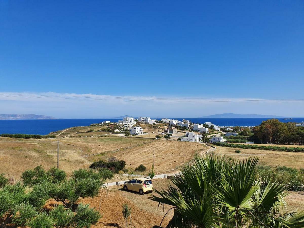 Anthoula'S Sea View Apartment Piso Livadi Dış mekan fotoğraf